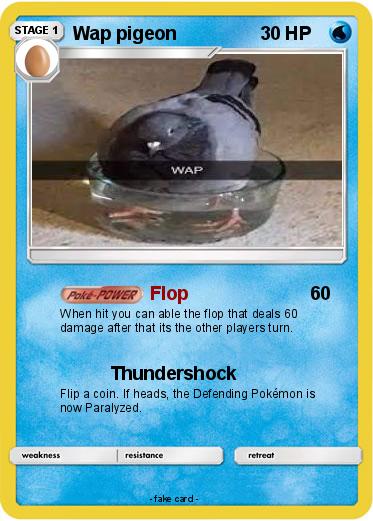 Pokemon Wap pigeon