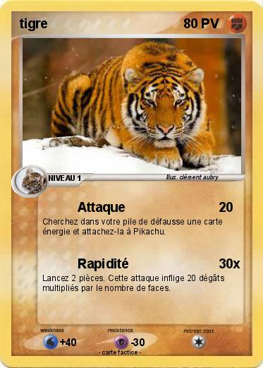 Pokemon tigre