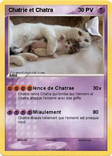 Pokemon Chatrie et Chatra