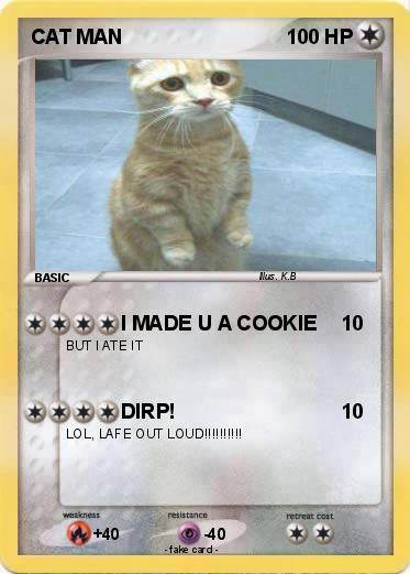 Pokemon CAT MAN