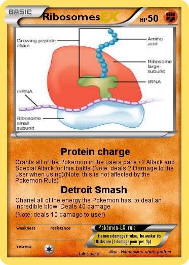 Pokemon Ribosomes