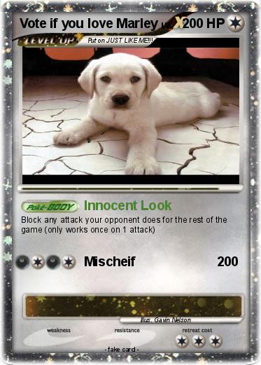 Pokemon Vote if you love Marley