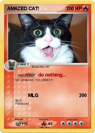 Pokemon AMAZED CAT!