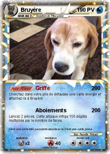 Pokemon Bruyère