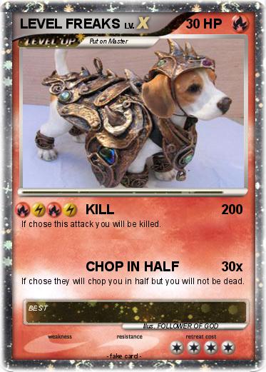 Pokemon LEVEL FREAKS