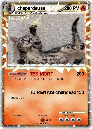 Pokemon chapardeuse