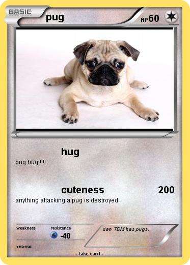 Pokemon pug