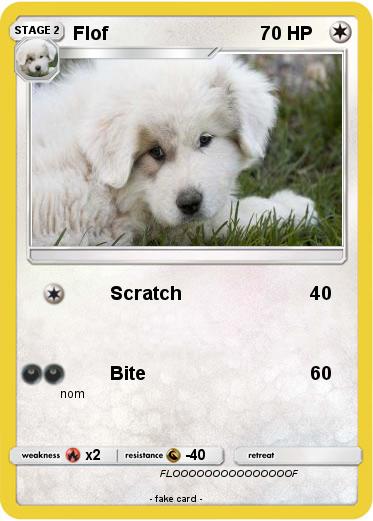 Pokemon Flof