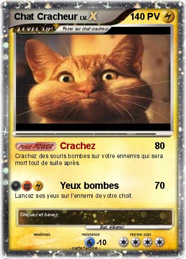 Pokemon Chat Cracheur
