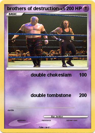 Pokemon brothers of destruction