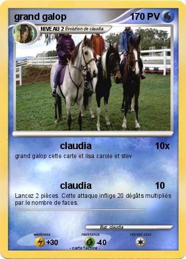 Pokemon grand galop