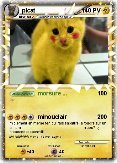 Pokemon picat