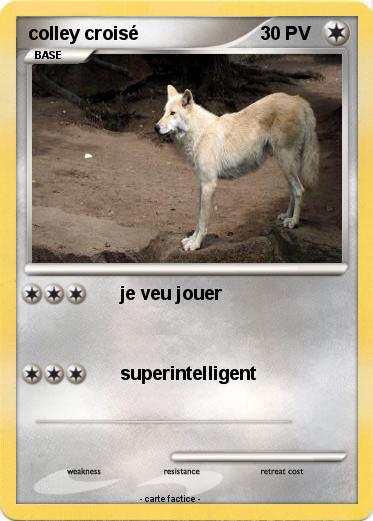 Pokemon colley croisé