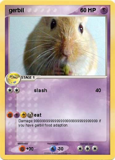 Pokemon gerbil