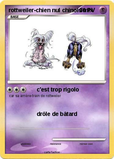 Pokemon rottweiler-chien nul chinois mix