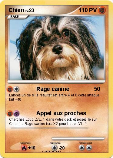 Pokemon Chien
