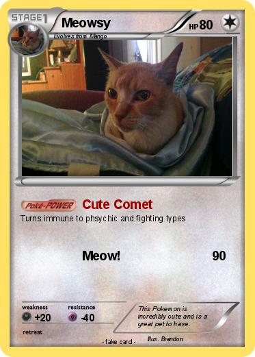 Pokemon Meowsy