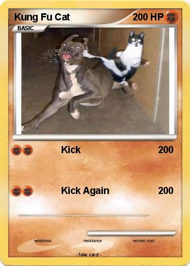 Pokemon Kung Fu Cat