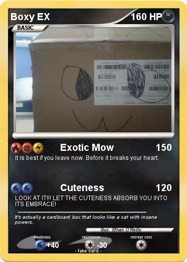 Pokemon Boxy EX