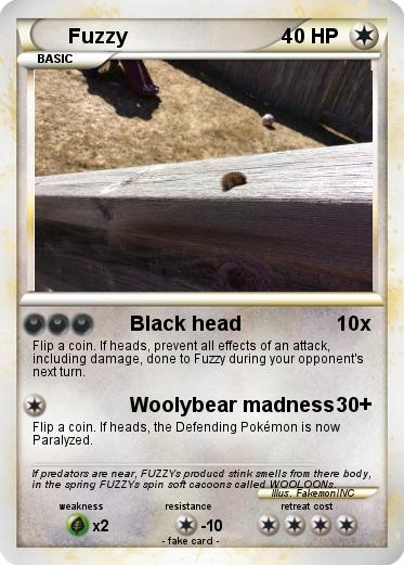 Pokemon Fuzzy