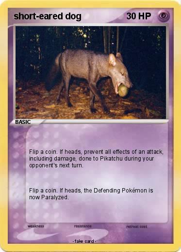 Pokemon short-eared dog