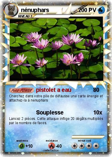 Pokemon nénuphars