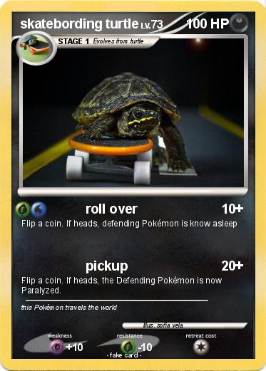 Pokemon skatebording turtle