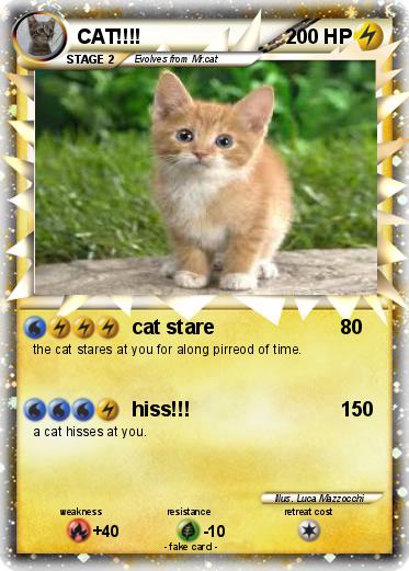 Pokemon CAT!!!!