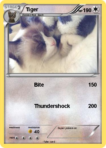 Pokemon Tiger