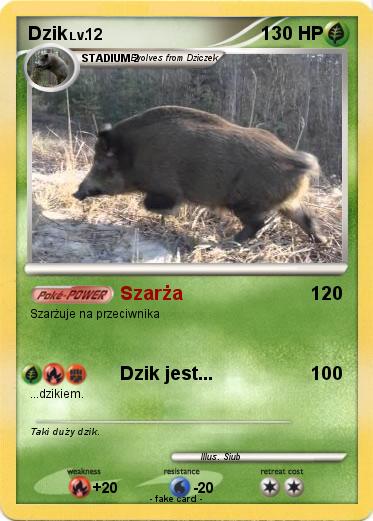Pokemon Dzik