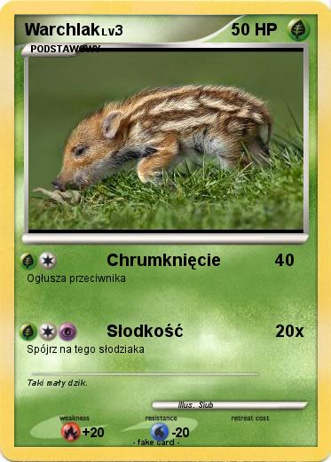 Pokemon Warchlak