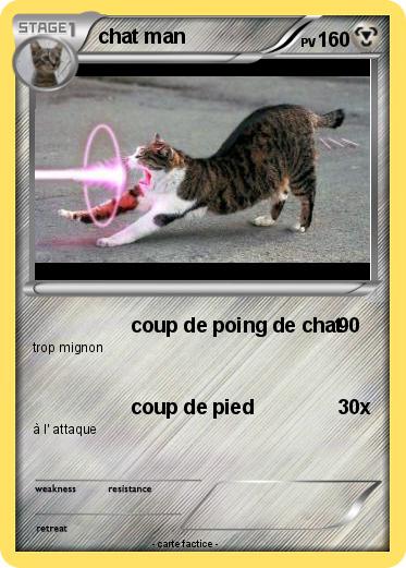Pokemon chat man