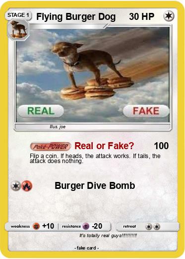 Pokemon Flying Burger Dog