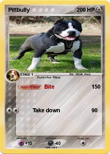 Pokemon Pittbully