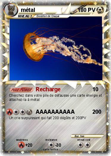 Pokemon métal