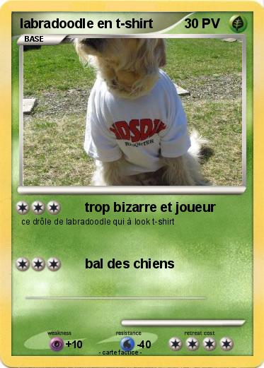 Pokemon labradoodle en t-shirt