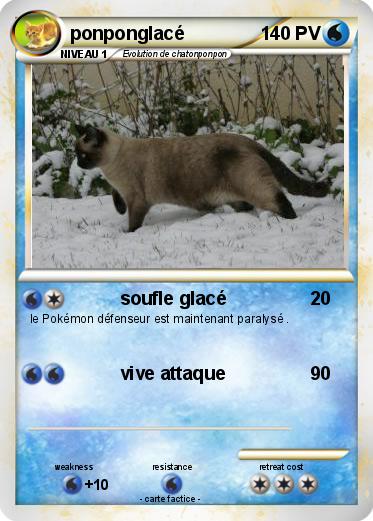 Pokemon ponponglacé