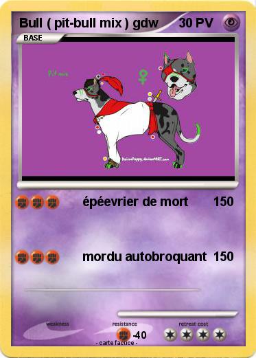 Pokemon Bull ( pit-bull mix ) gdw