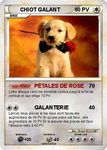 Pokemon CHIOT GALANT