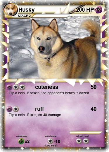 Pokemon Husky