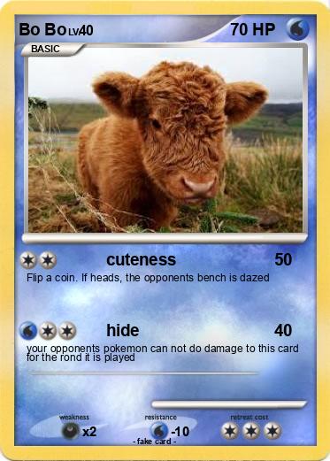 Pokemon Bo Bo