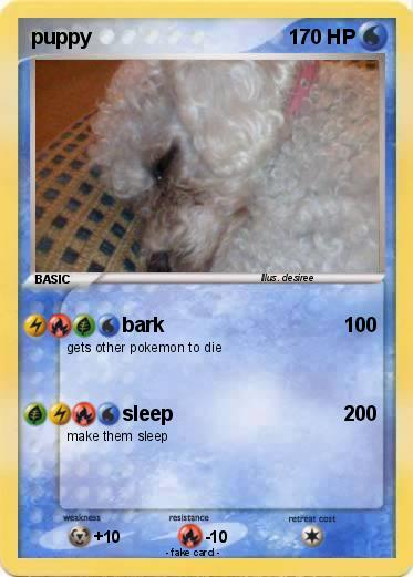 Pokemon puppy