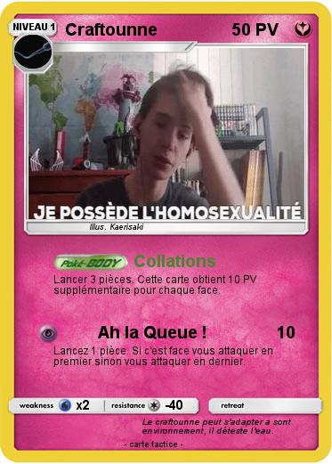 Pokemon Craftounne