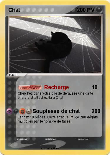 Pokemon Chat