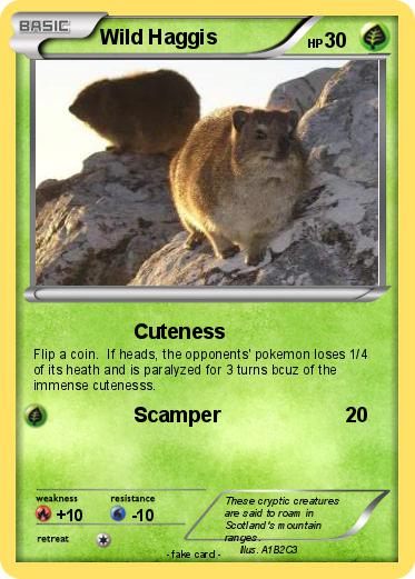 Pokemon Wild Haggis