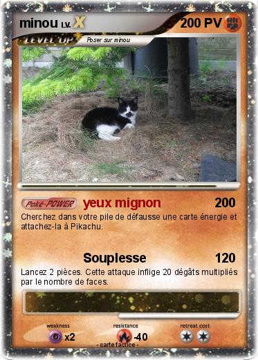 Pokemon minou