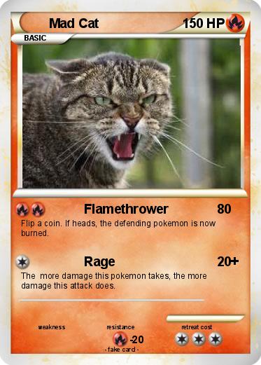 Pokemon Mad Cat