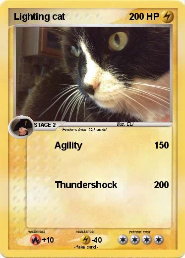 Pokemon Lighting cat