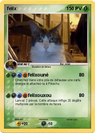 Pokemon felix