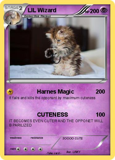 Pokemon LIL Wizard